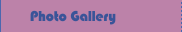 Photo Gallery